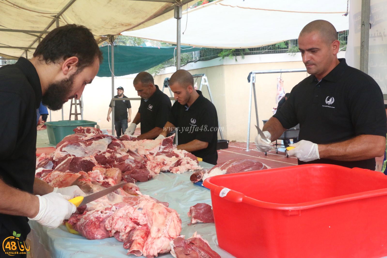 lo7om jam3iya u3 (5).jpg.jpg